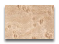 birdseye maple
